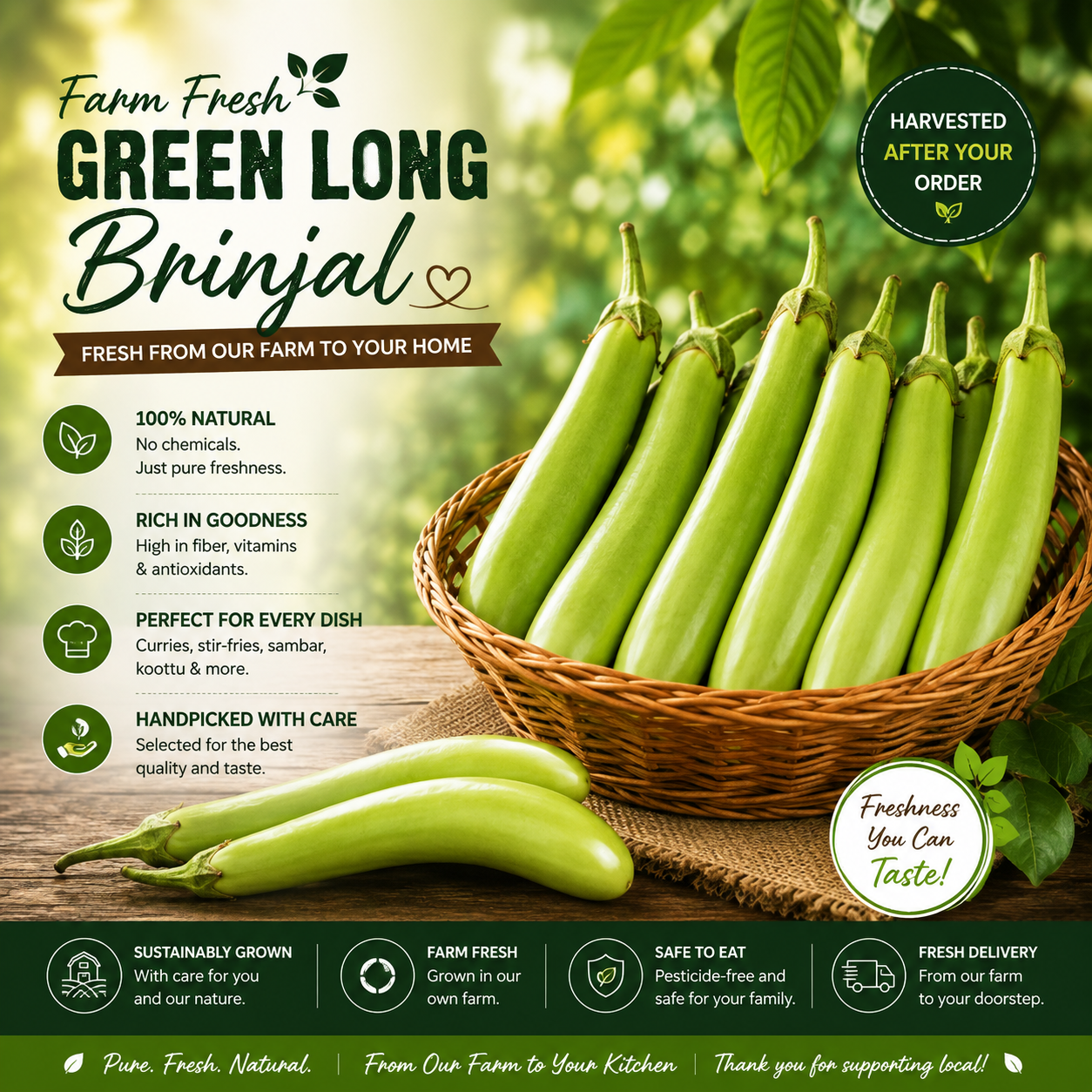 Brinjal Green Long