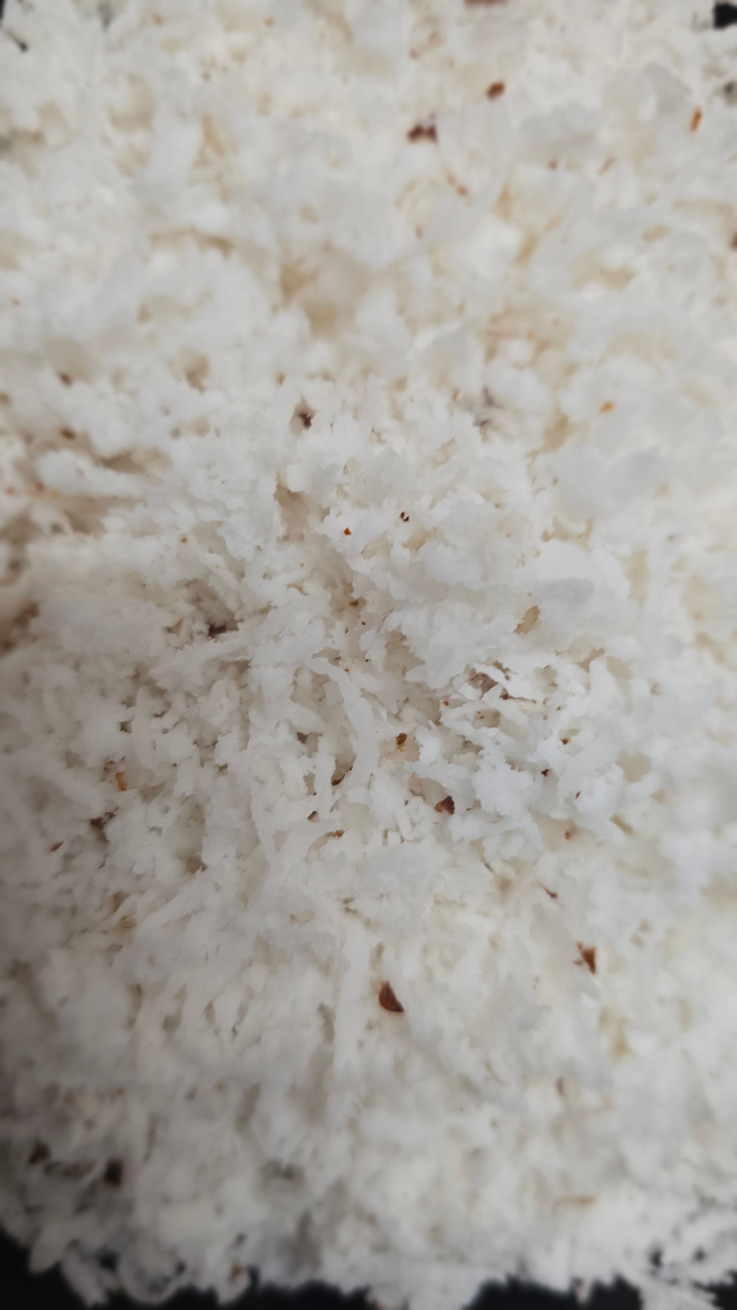 Grated Coconut 200 grams -QV106