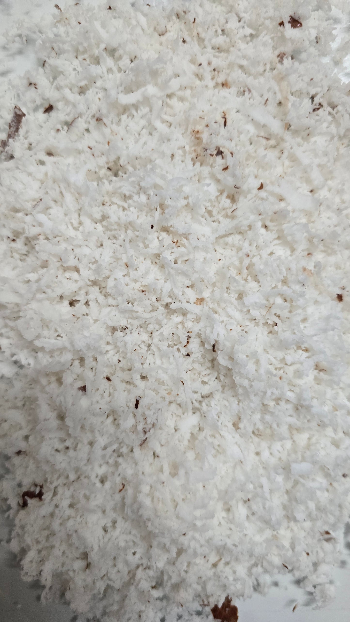 Grated Coconut 200 grams -QV106