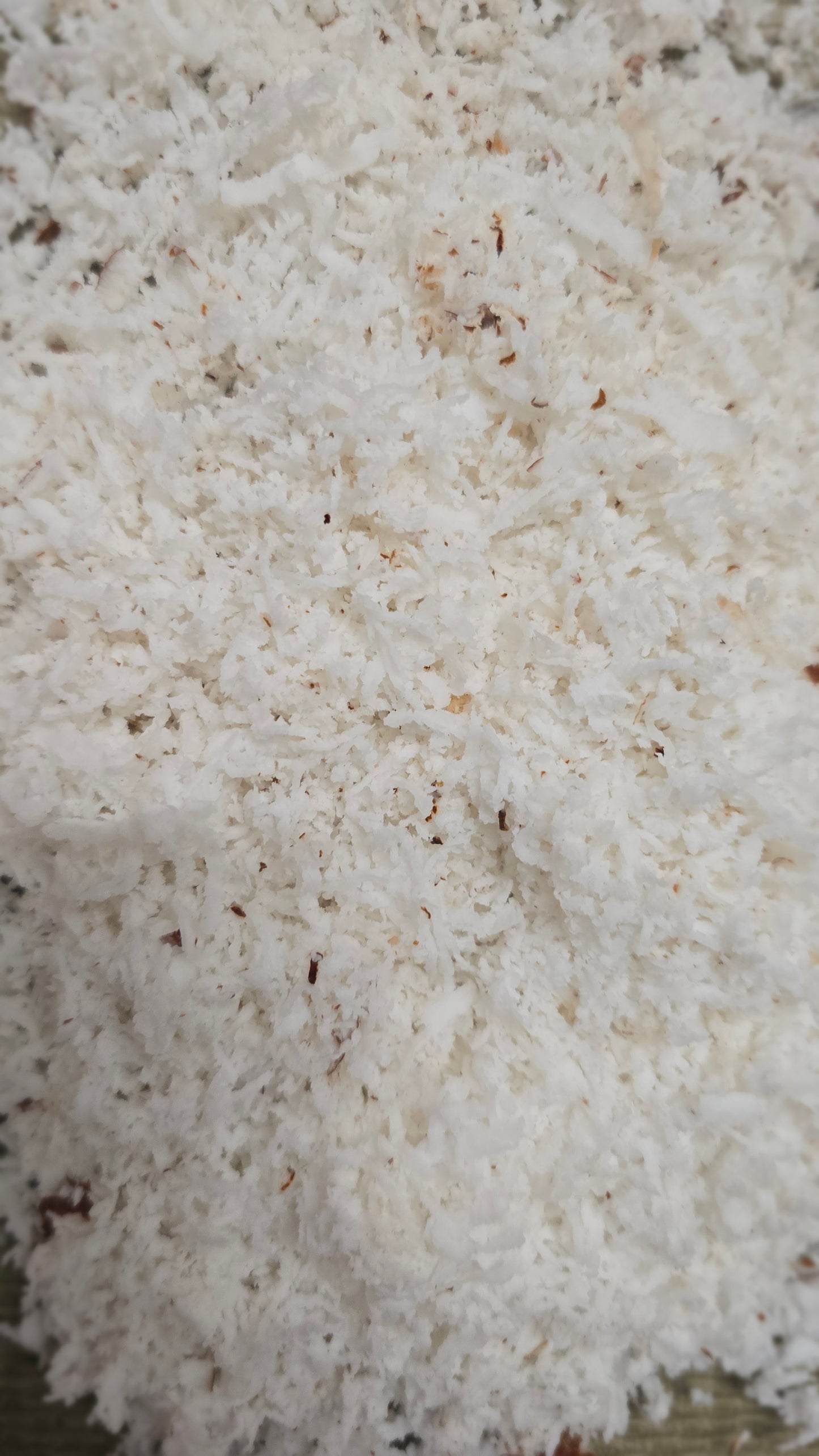 Grated Coconut 200 grams -QV106