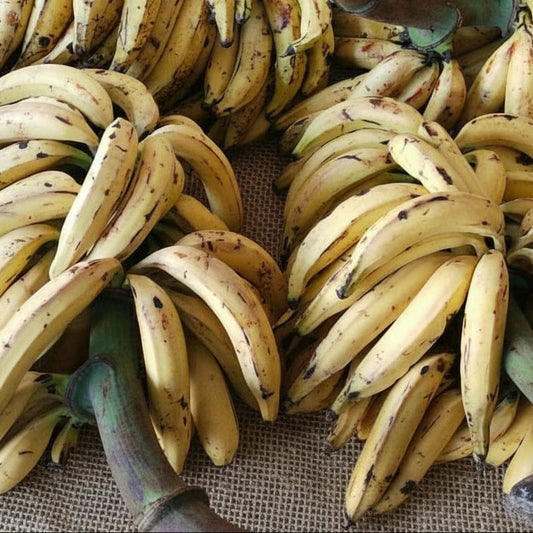 Banana - Nendran Ripe
