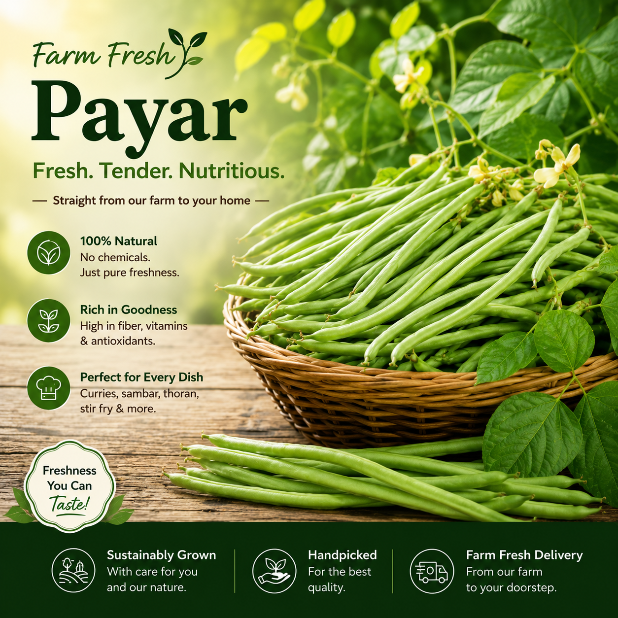 Payar