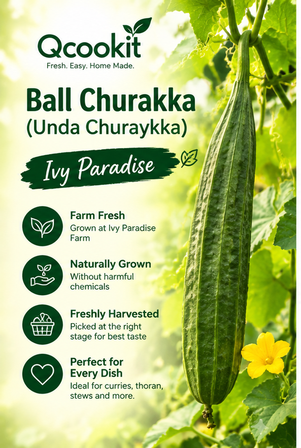 Farm Fresh Ridge Gourd (Peerkangai / Peechinga) – Ivy Paradise