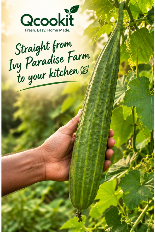 Farm Fresh Ridge Gourd (Peerkangai / Peechinga) – Ivy Paradise
