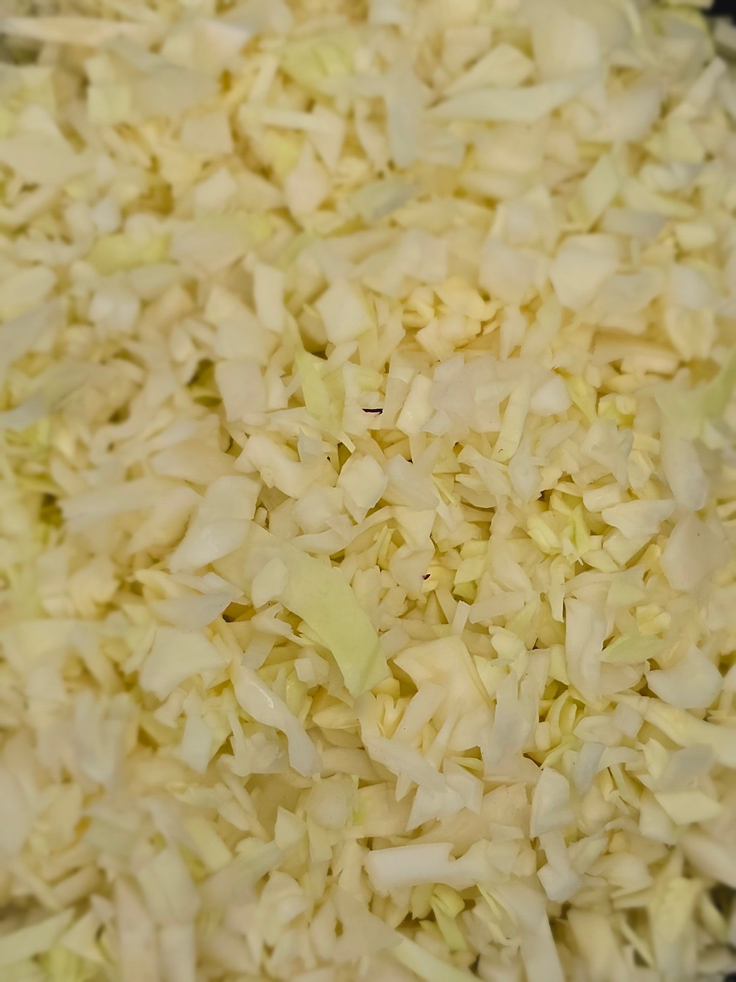 Fresh Cabbage Thoran Mix -QV108